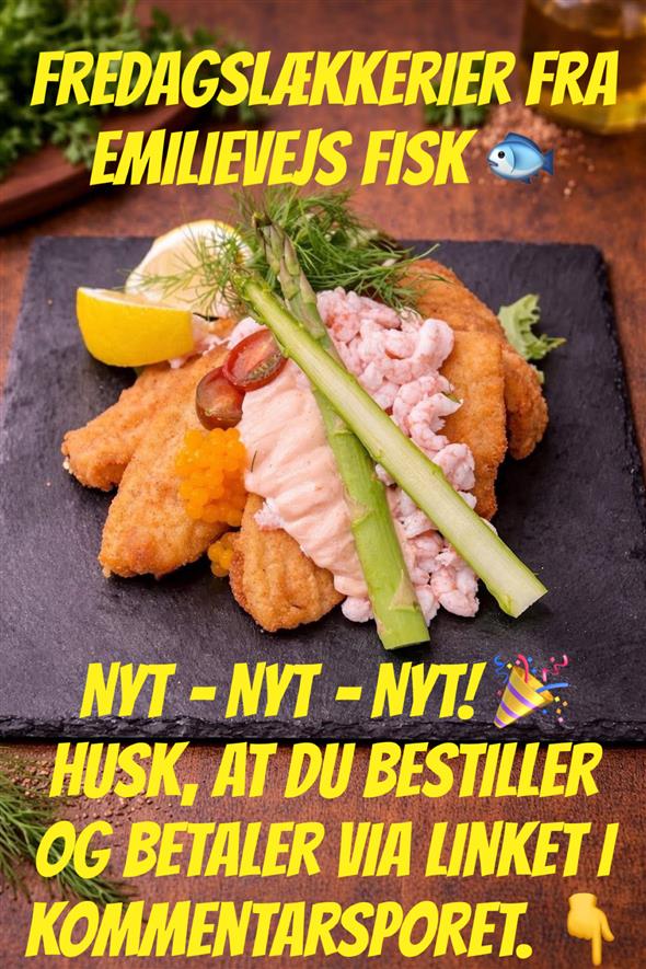 Stjerneskud